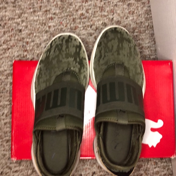 Puma dare - Picture 5 of 8